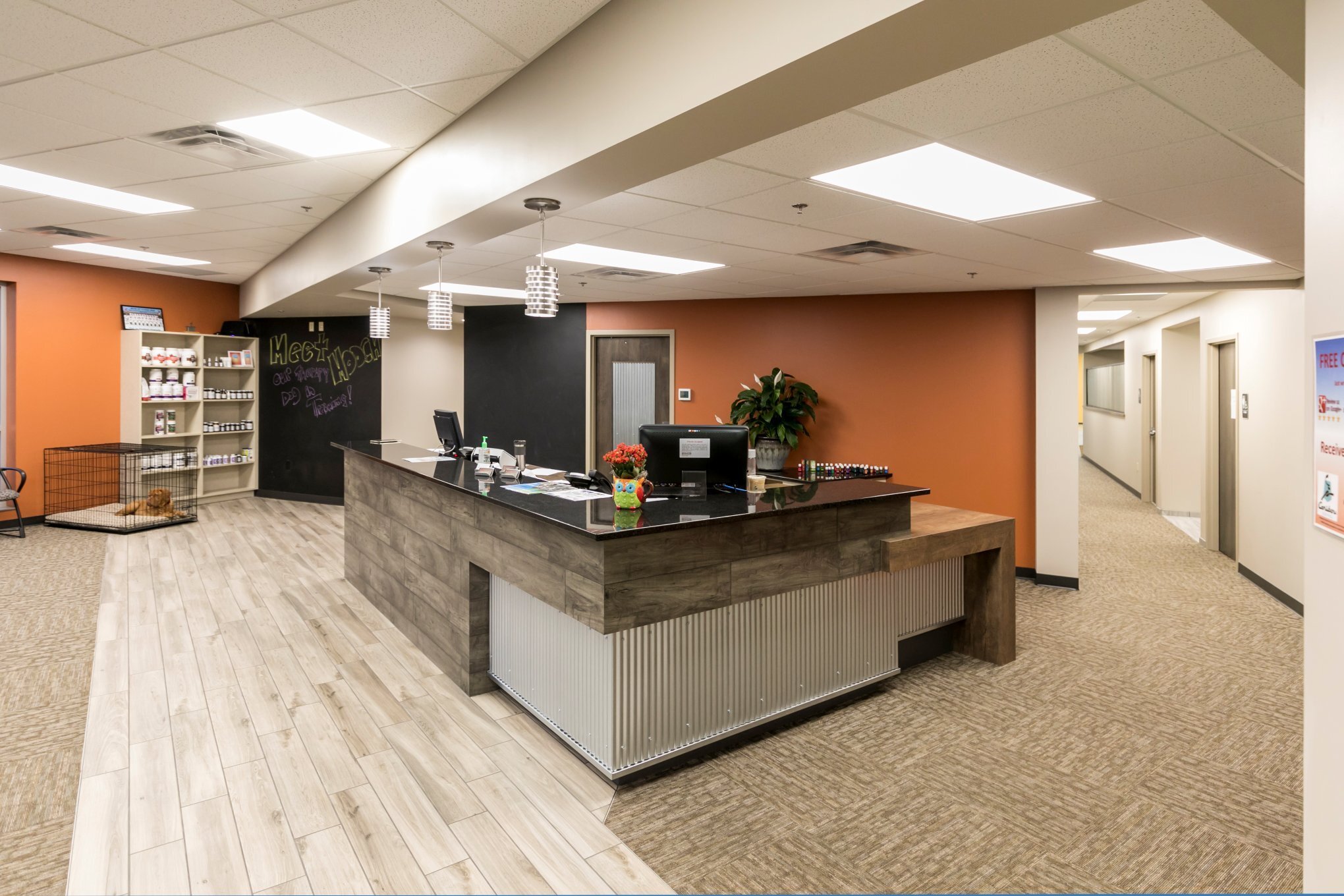 Interior of chiropractic clinic showing reception desk and patient waiting area, constructed by Rice Companies